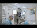 Download Lagu Single-use separator kytero® tested on CHO cell culture by CDMO ProBioGen, Berlin