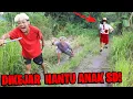 Lagu PANIKKK!!!! BOCIL LARI KETAKUTAN DIKEJAR HANTU ANAK SD GENTAYANGAN!!!