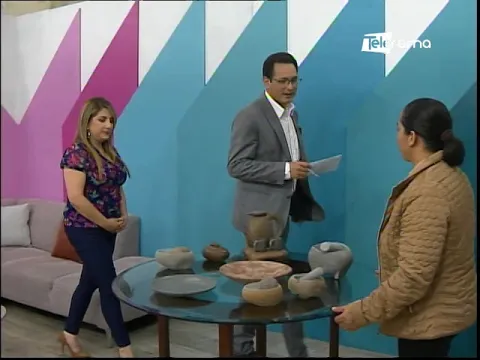 Campaña Impulso Violeta