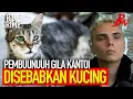 PEMBUUNUUUH GIL4 KANTOI SEBABKAN KUCING