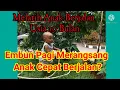 Lagu Melatih Anak Cepat Berjalan Usia 10 - 12 bulan di atas rumput dan embun pagi
