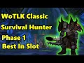 WoTLK Classic Survival Hunter Phase 1 BiS
