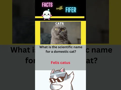 Download MP3 What is the scientific name for a domestic cat