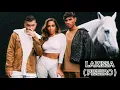 PEDRO SAMPAIO feat.luan LARISSA ( PISEIRO )