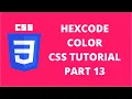 Hexcode Color CSS CSS Tutorial Part 13