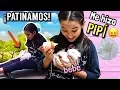 NINERA POR UN DIA DE UN CONEJO - Gibby