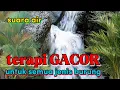 Download Lagu Terapi pancingan semua jenis burung|suara air masteran burung| terapi air