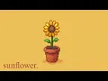 Download Lagu sunflower.