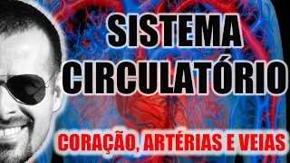 Sistema Circulatório - O coração, as artérias e as veias - Anatomia Humana - VideoAula 003
