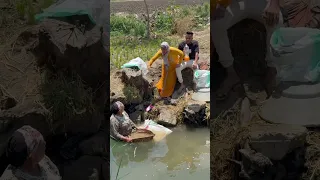 حنان وحمدى مزهقين امها 