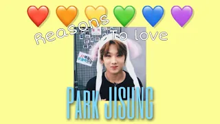 Download Reasons to love NCT PARK JISUNG MP3