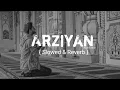 Arziyan (New Cover) { Slowed And Reverb } | Aqib Farid