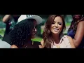 The Game - Celebration ft. Chris Brown, Tyga, Wiz Khalifa, Lil Wayne