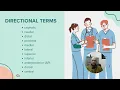Medical Terminology Directional Terms Positions and Imaging