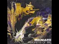 Download Lagu MANIARD - Fragments Of Time - ALBUM 2025