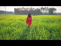 Download Lagu Pousher kachakachi rodmakha seidin by Manna Dey || Modern song || Photomix