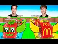 Opening 100 Healthy VS Fast Food Lucky Blocks..