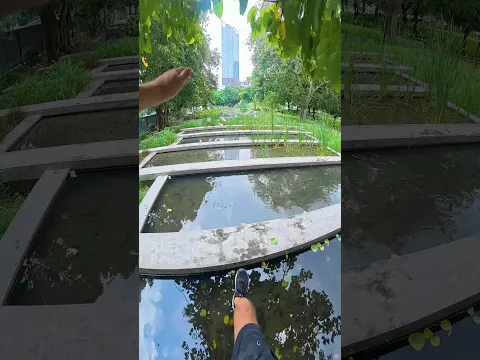 Going for a walk