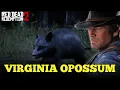 Opossum hunting guide Red Dead Redemption 2