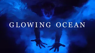 Swimming in Bioluminescent Algae - Blew our minds!
