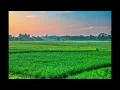 Download Lagu Kacapi Suling Sunda Cianjuran|Nuansa Alam Indah
