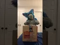 Download Lagu What’s In The Box? 📦 #shorts #furry #fursuit #unboxing