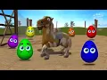 What s Inside the Amarillo Egg Sponsored by Gamavision Csupo Effects