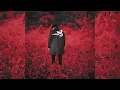 BIG30 - Celine Frames [Clean]