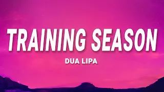                                     دندنها