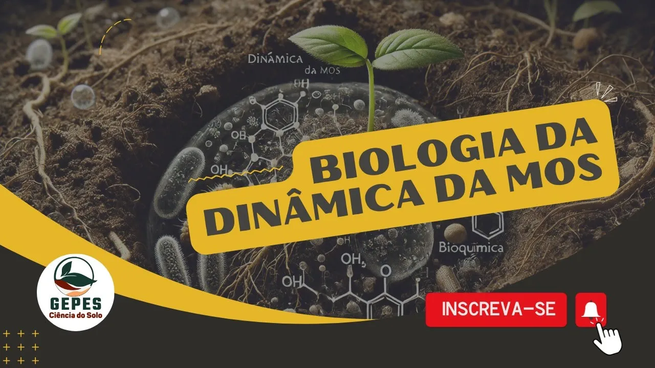 BIOLOGIA DA DINÂMICA DA MATÉRIA ORGÂNICA DO SOLO | @fabiohenrique.professor ; @gepes.soilsolutions