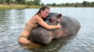 27 Times When Animals Reunited With Owners After Years ❤️ Make You Cry in a Special Way