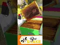 Download Lagu BeeShake - Scuotitore automatico per telaini - Apicoltura