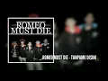 Romeo Must Die - Tanpamu Disini ( Unofficial Lyric Video )