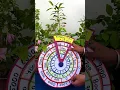 Place Value Working Model Expanded Form Working Model Maths 3D Model Maths Project TLM