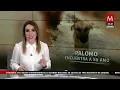 Missing 84-year-old man found by his dog, 'Palomo'