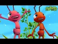 Lagu Ant Farm Food! | +60 Minutes of Antiks by Oddbods | Kids Cartoons | Party Playtime!