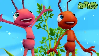 Ant Farm Food 60 Minutes Of Antiks By Oddbods Kids Cartoons Party Playtime 