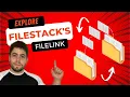 Filestack Filelink A Comprehensive Python Tutorial for File Management