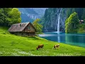 Download Lagu Mengembalikan Sistem Saraf 🌿Musik Relaksasi untuk Tidur Nyenyak, Suara Alam untuk Ketenangan Batin