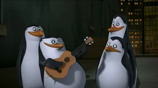 حلقه الحارس اكس لا تفوتك 