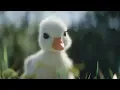 Download Lagu Disneyland Paris - Donald Duck - Disney NL