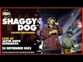 Download Lagu SHAGGYDOG - ANJING KINTAMANI LIVE at JatimExpo Surabaya 22.09.2022 [SUBLIVEMUSIC]