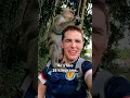 Download Lagu Massive Monkey on My Shoulder in Bali, Indonesia 🇮🇩