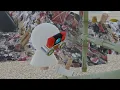 "Junk Airplane" Part 1 #shorts