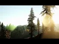 Dan Gibson’s Solitudes - Crisp and Clear | Forest Cello