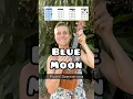 Download Lagu Blue Moon: Ukulele Mini-Tutorial for Beginners