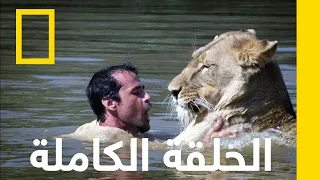 موت في المملكة حارس الأسود ناشونال جيوغرافيك أبوظبي 