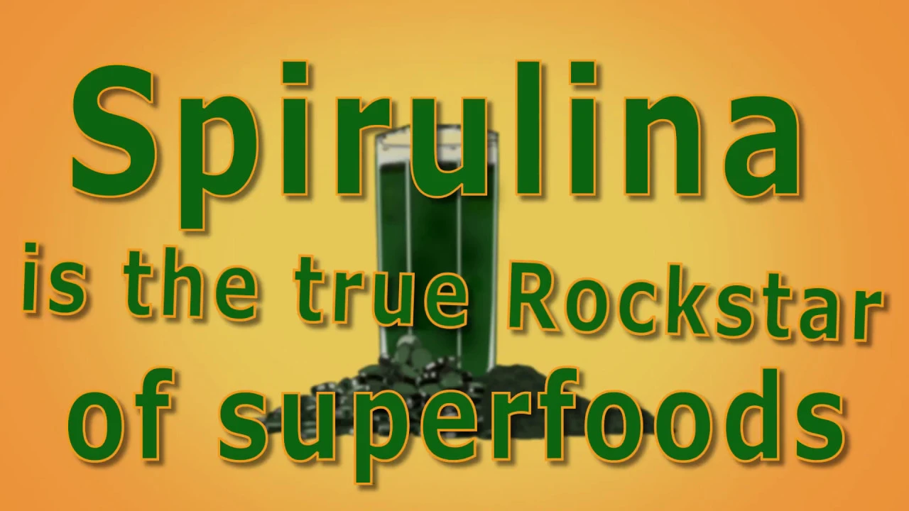 Grow your own spirulina