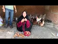 Download Lagu ام جني فكرت كتير عشان ارتاح بس شكلها كدا مفهاش راحه خالص😭😭