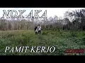 Download Lagu NDX AKA Pamit Kerjo Cover